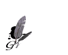 graciasblkwht.gif
